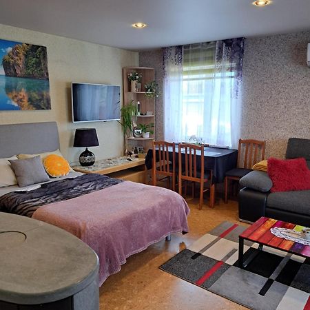 Apartament Metsakodu Tõrve Zewnętrze zdjęcie